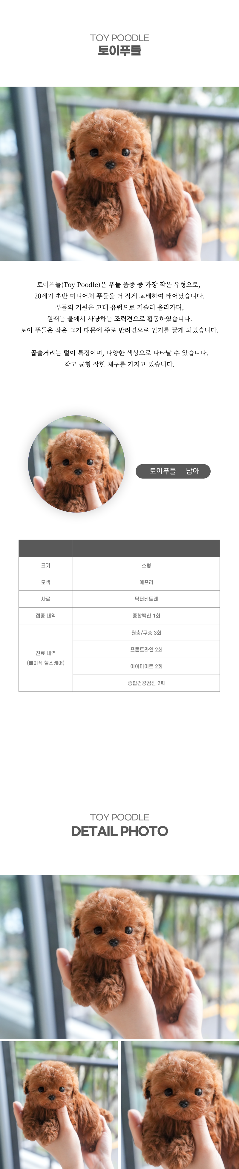토이푸들_상세이미지_2